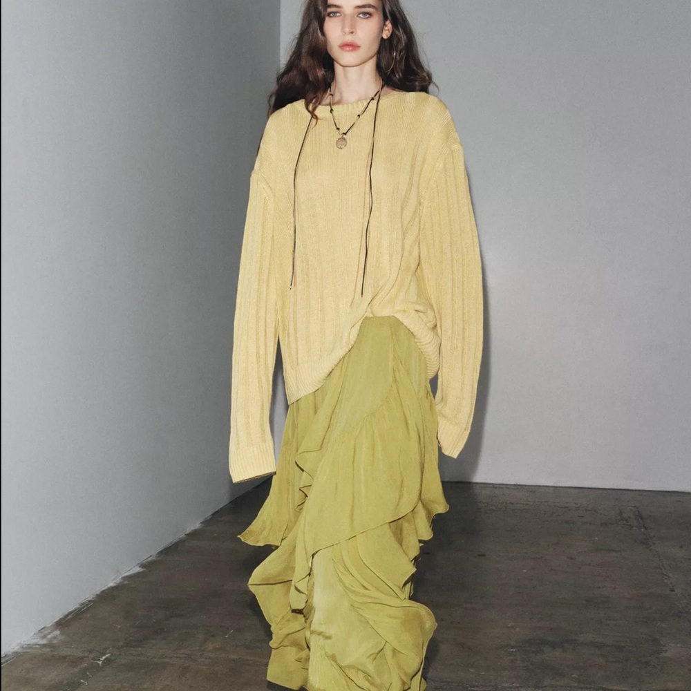 Zara ZW Collection Ruffle Skirt